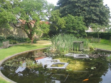 Royal Trinity Hospice pond